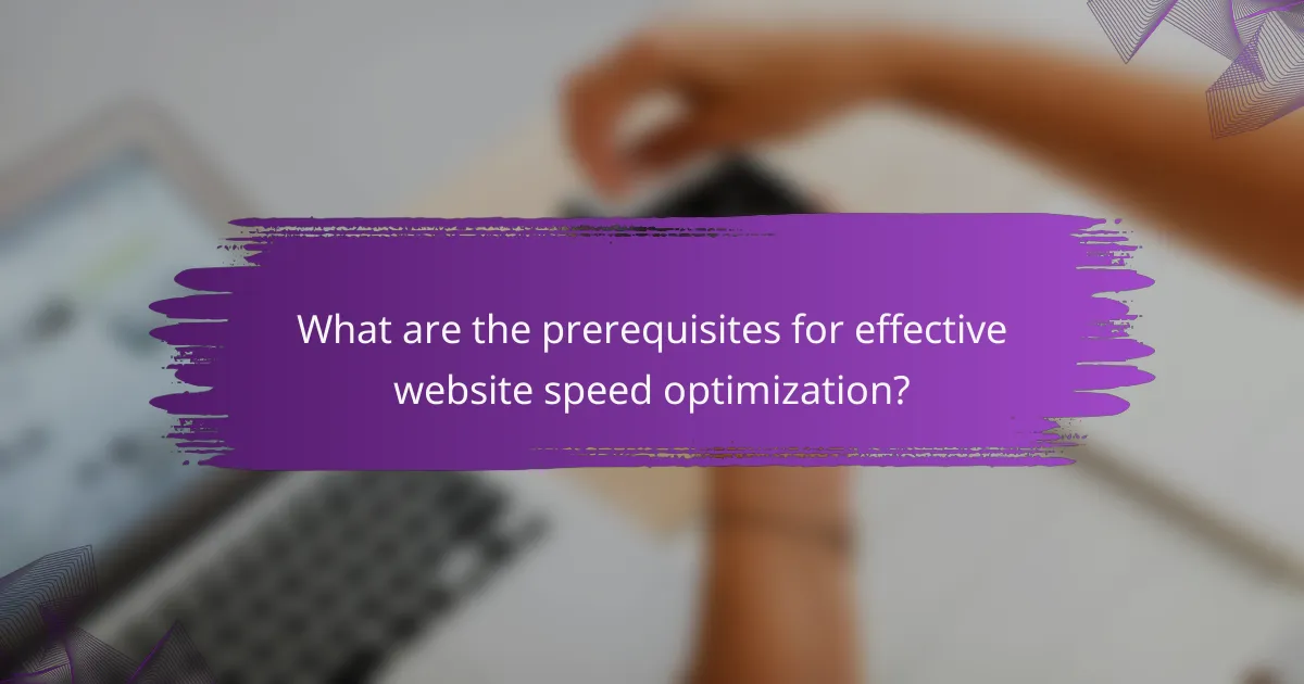 What are the prerequisites for effective website speed optimization?